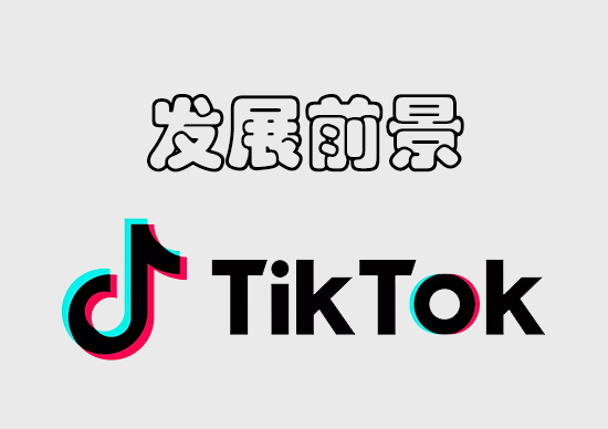 TikTok发展前景-墨熠合众