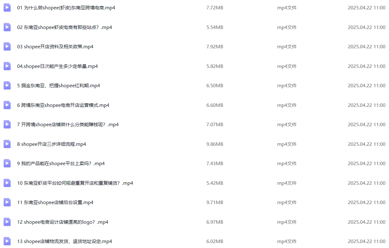 图片[2]-跨境Shopee基础运营实操课-墨熠合众
