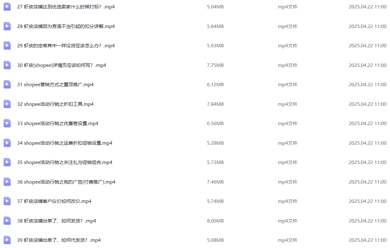 图片[4]-跨境Shopee基础运营实操课-墨熠合众